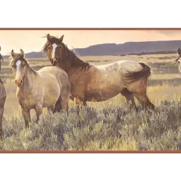 Brown Horse Wallpaper Border