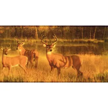 White Tail Lake Wallpaper Border