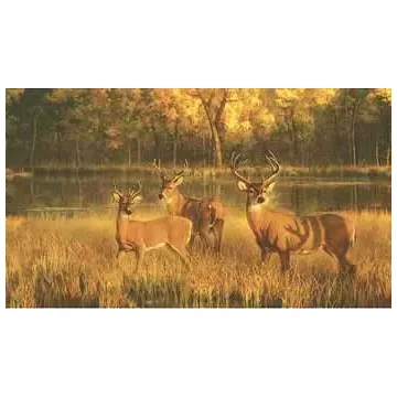 White Tail Deer Mural CH7985M