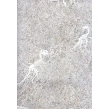 Candice Olson Dinosaur Fossil Wallpaper