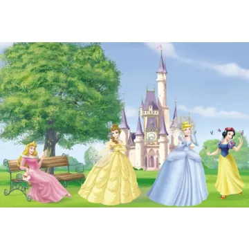 Fantasy Princess Wallpaper Mural