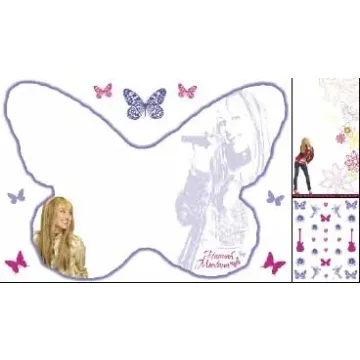 Disneys Hannah Montana Dry Erase Kit