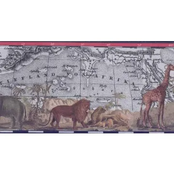 African Safari Wallpaper Border