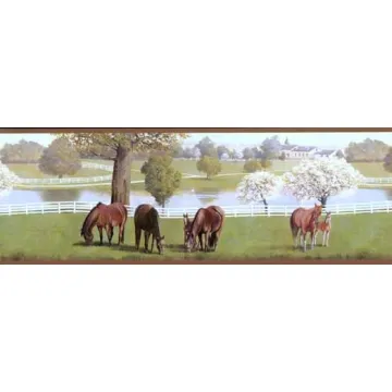 Childrens Horse Wallpaper Border