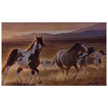Desert Horse Full Mural