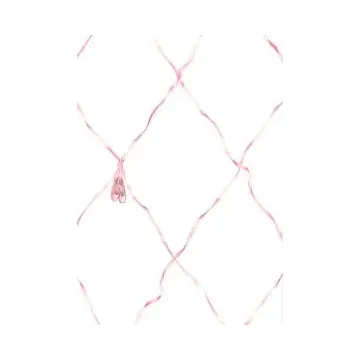 Ballet Slipper Wallpaper