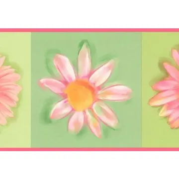 Pink Daisy Wallpaper Border