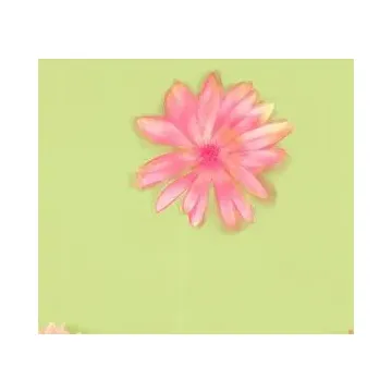 Pink Daisy  Wallpaper KG8753
