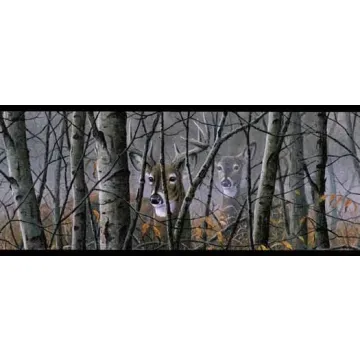 Deer in the Woods Wall Paper Border