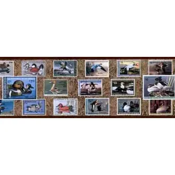Brown Federal Duck Wallpaper Border