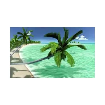 Palm Tree Paradise Chair Rail Mural