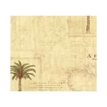 Palm Tree With Old World Map Wallpaper