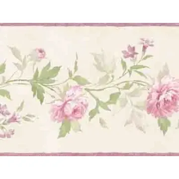 Beige and Pink Vines of Roses Wallpaper Border - Patton Norwall