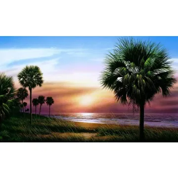 Palmetto Sunrise Mural