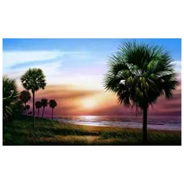 Palmetto Sunrise Mural