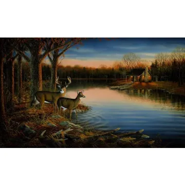 Tranquil Evening Mural