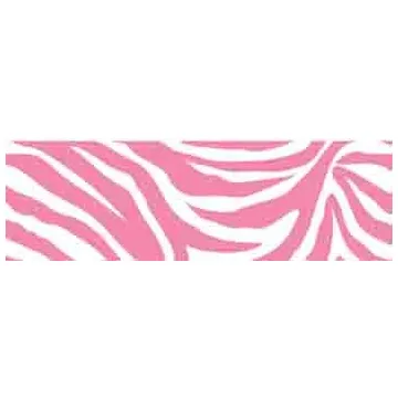 Flirt Pink Zebra Stripe Wall Pops Border- 2 left