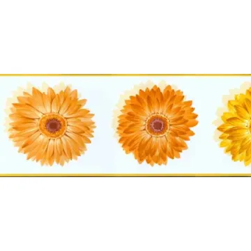Yellow and Orange Daisy Wallpaper Border