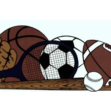 Die Cut All Sports Wallpaper Border