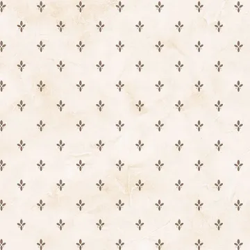 FK26915 Kitchen Spot Wallpaper Brown, Beige Fresh Kitchens 5 Norwall Wallcovering