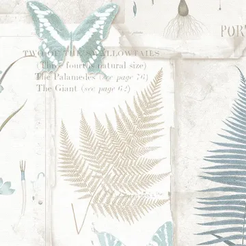 FK34414 Parchment Ferns Wallpaper Blue, Taupe Fresh Kitchens 5 Norwall Wallcovering