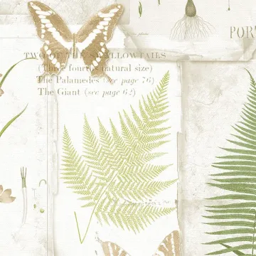 FK34415 Parchment Ferns Wallpaper Beige, Green Fresh Kitchens 5 Norwall Wallcovering