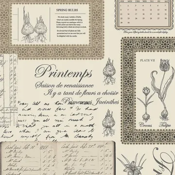 FK34419 Printemps Script Wallpaper Beige, Charcoal, Black Fresh Kitchens 5 Norwall Wallcovering