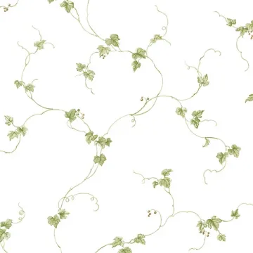 FK34437 Small Berries Trail Wallpaper Green, Beige Fresh Kitchens 5 Norwall Wallcovering