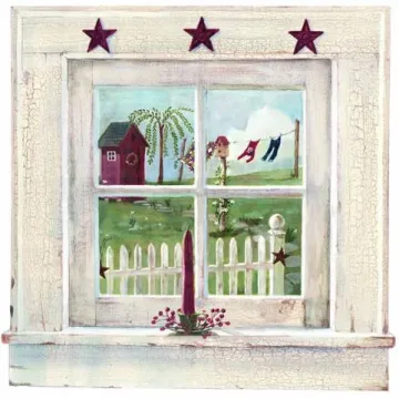 Small Outhouse Window