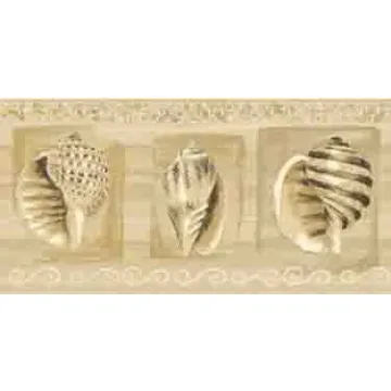 Beige Contemporary Seashell Wallpaper Border