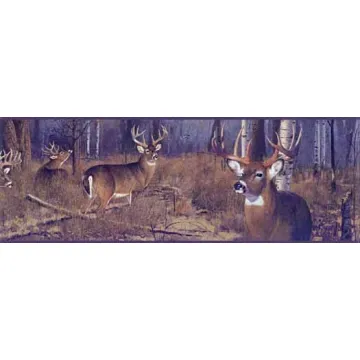 Big Buck Wallpaper Border