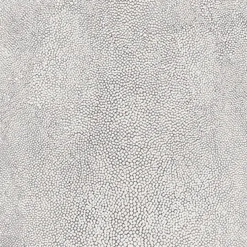 G67471 White with Black Outlined Suds Wallpaper White, Natural FX Norwall Wallcovering
