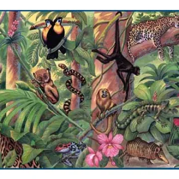 Blue Jungle Scene Wallpaper Border- 1 left