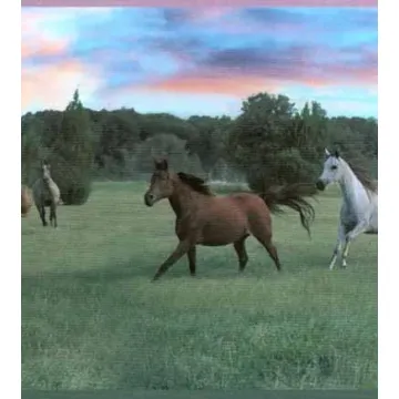 Pink Horses Running in Meadow Wallpaper Border