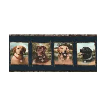 Blue Labrador Dog Wallpaper Border
