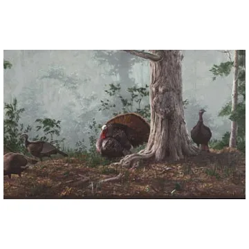 Gobblers and Hen Turkey Wallpaper Border HG522B