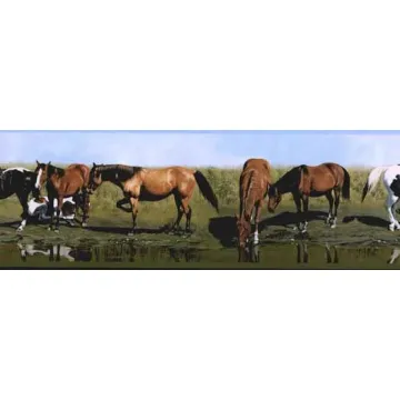 Horses Drinking From the River Wallpaper Border