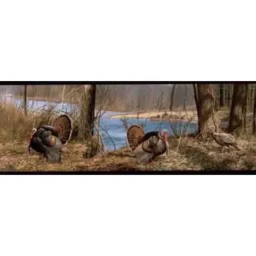 Turkeys Toms and Hens Fall Wallpaper Border