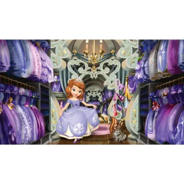 Walt Disney Kids Ii Sofias Closet Mural