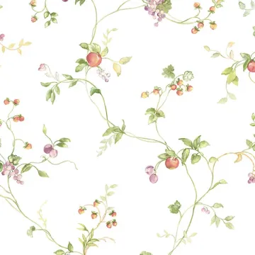 KC28534 Mini Fruit Trail Wallpaper Pink, Purple, Green Fresh Kitchens 5 Norwall Wallcovering