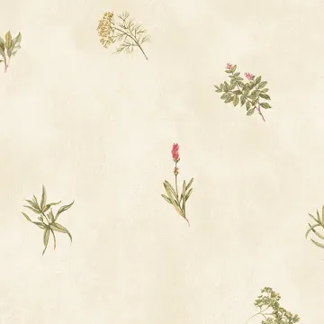 KE29916 Herb Sidewall Wallpaper Cream, Green, Red Kitchen Elements Norwall Wallcovering