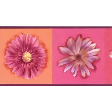 Two Tone Daisy Wallpaper Border