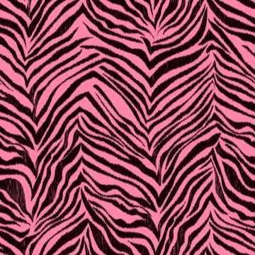 Cool Kids Ikat Zebra Wallpaper