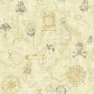 Cool Kids Pirate Map Wallpaper