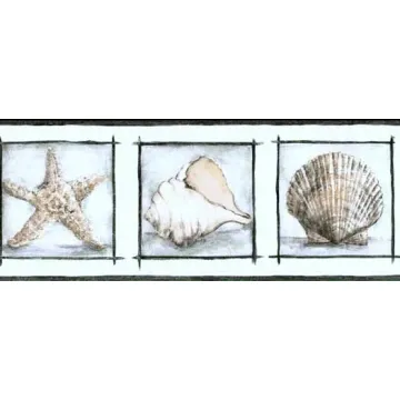 Seashell Framed Wallpaper Border