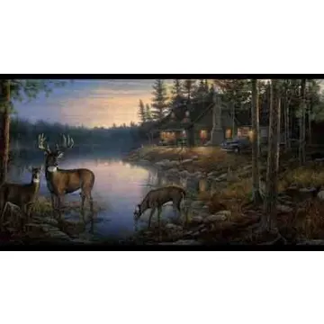 Quiet Place Wallpaper Border
