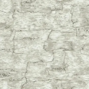 Lake Forest Birch Bark Wallpaper