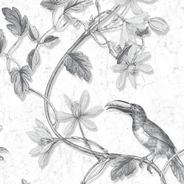 MH36529 Toucan Toile Wallpaper Black Manor House Norwall Wallcovering