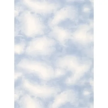 Lake Forest Lodge Cloud Wallpaper