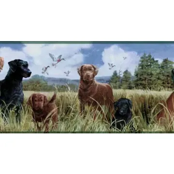 Green Labradors in a Field Wallpaper Border 